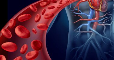arterial stiffness, cardiovascular disease