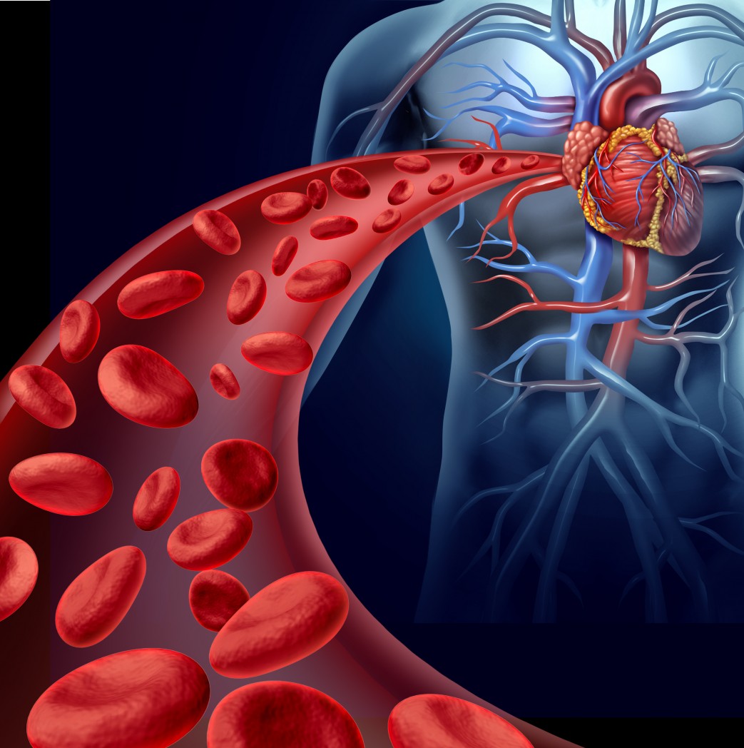 arterial stiffness, cardiovascular disease