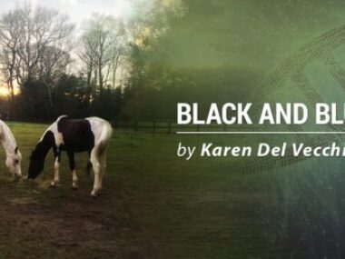 layers, mentally frame, new normal, other people's perceptions