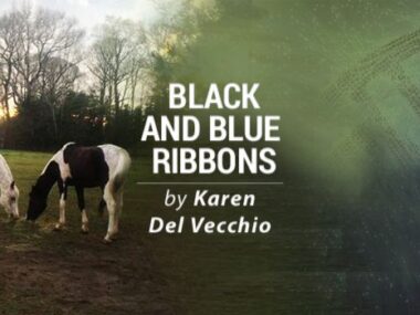 positivity, unknown sources, massage, fatigue, compensatory pain, Invisalign, sunlight, small steps, muscle tightness, knee pillow, massage, injury, bruises, positivity, occupational therapy, holiday season, surgery, thankful, anxiety, eds effects, massage, 2020, finger, fracture, awareness, sign, surge capacity, tension