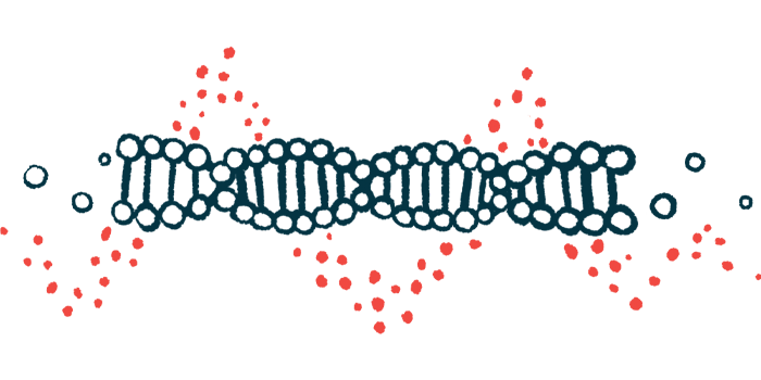 An illustration of a double-stranded DNA.