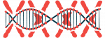 An illustration shows a DNA strand on a background of large X's.