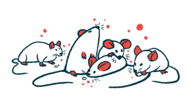 An illustration shows a group of mice.